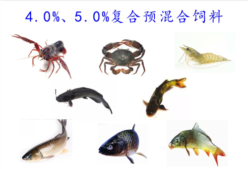 4.0%、5.0%魚用複合預（yù）混料