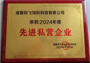 先進（jìn）私營企業