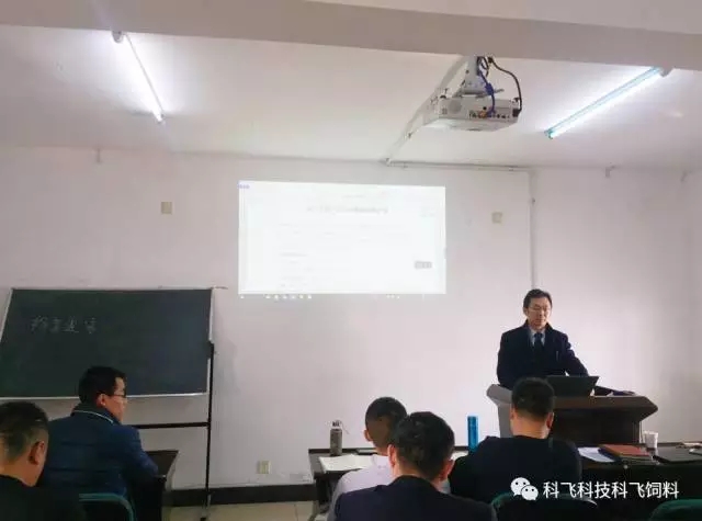 640.webp.jpg 640.webp.jpg