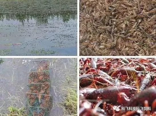 640.webp (4).jpg 640.webp (4).jpg