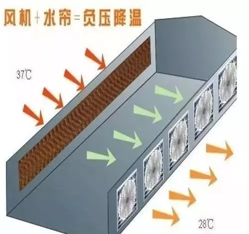 640.webp (8).jpg 640.webp (8).jpg