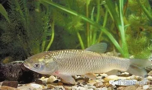 640.webp (18).jpg 640.webp (18).jpg