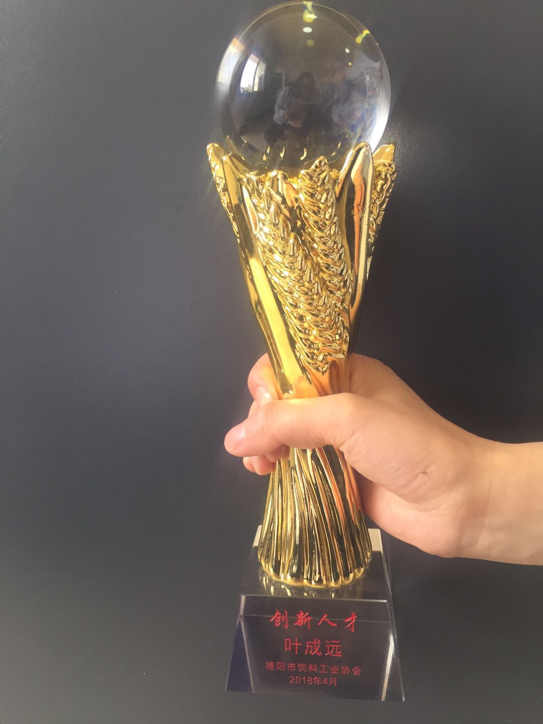 德陽創新技術人(rén)才獎杯.jpg 德(dé)陽創(chuàng)新技術人才(cái)獎杯.jpg