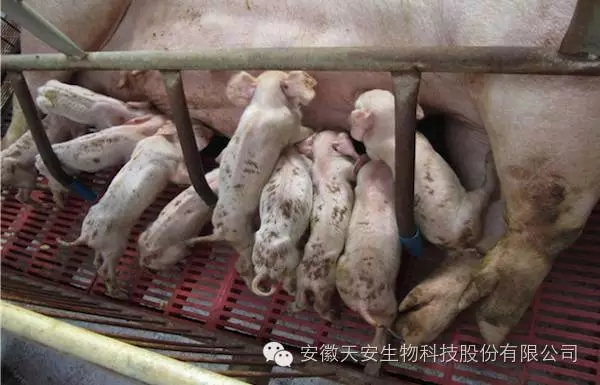 640.webp (2).jpg 640.webp (2).jpg