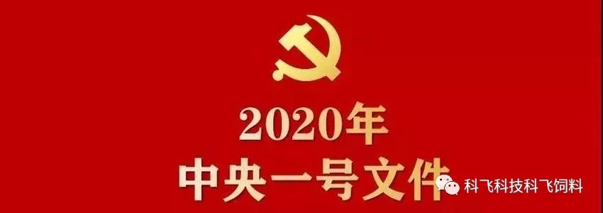 640_wx_fmt=jpeg&tp=webp&wxfrom=5&wx_lazy=1&wx_co=1.webp.jpg 640_wx_fmt=jpeg&tp=webp&wxfrom=5&wx_lazy=1&wx_co=1.webp.jpg