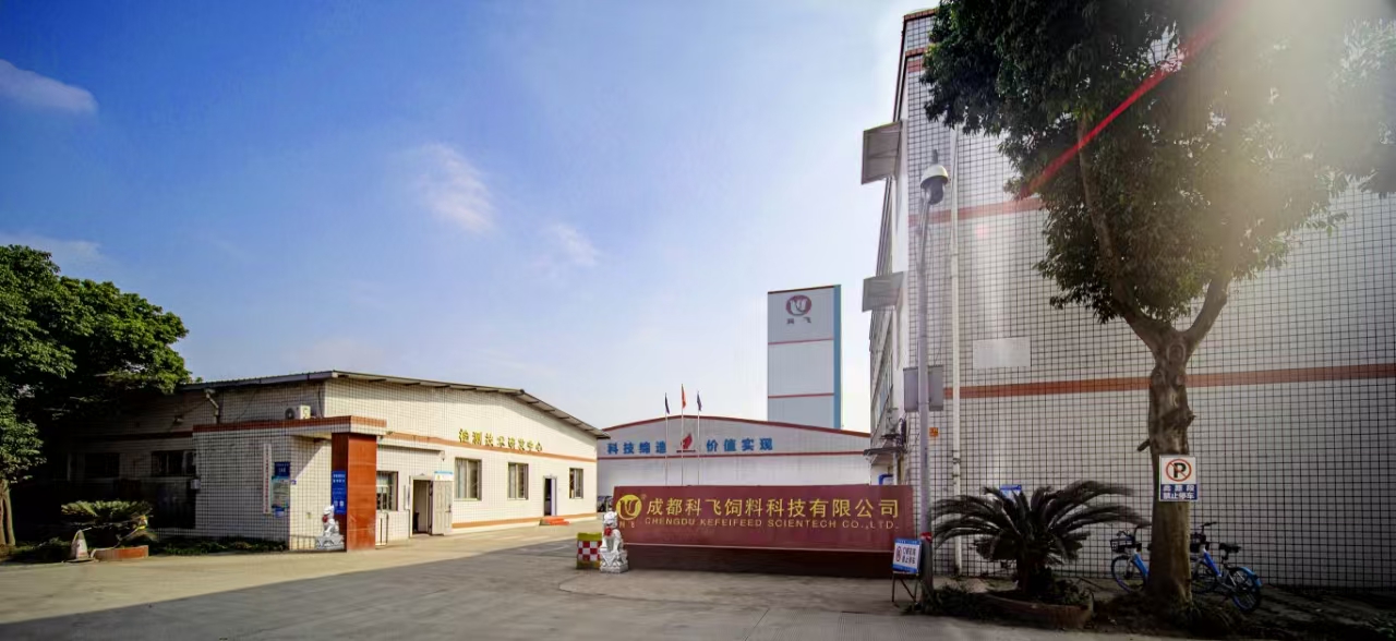 公（gōng）司全景圖（成都91成人短视频）.jpg